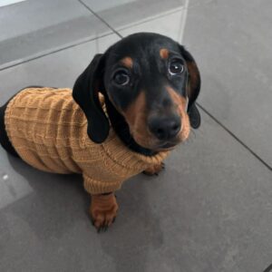 Theo