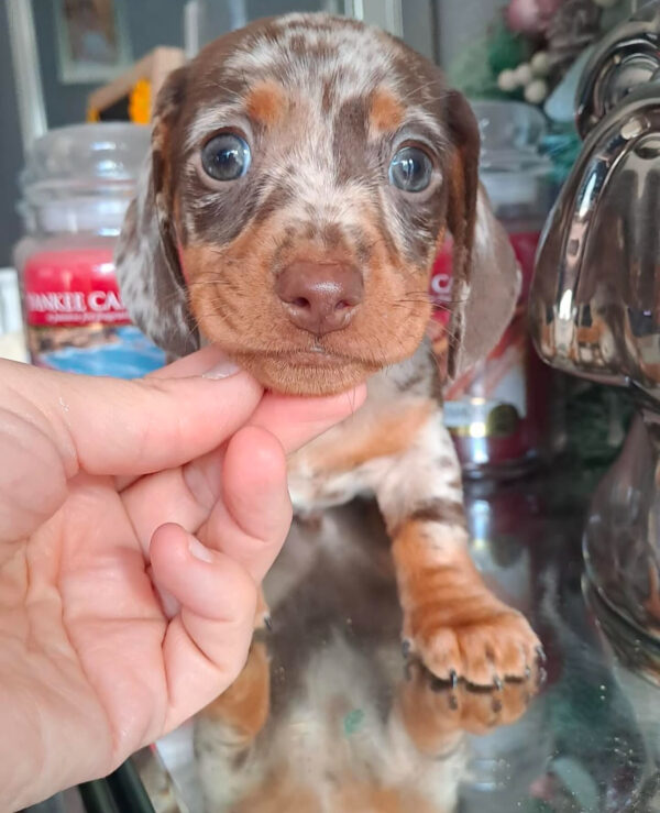 Winnie